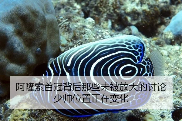 阿隆索首冠背后那些未被放大的讨论 少帅位置正在变化